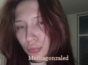 Melisagonzaled