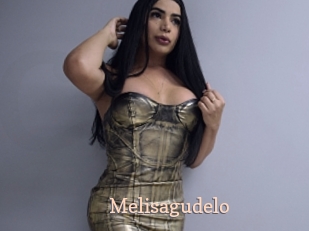 Melisagudelo