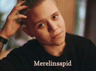 Merelinsapid