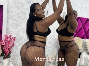 meridaroas Chaude Vision