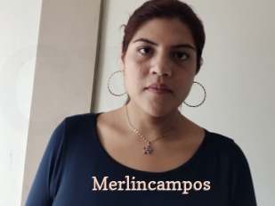 Merlincampos