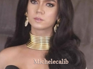 Michelecalib