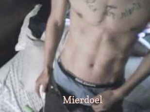 Mierdoel