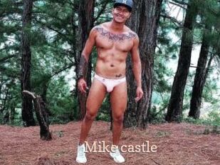 Mike_castle