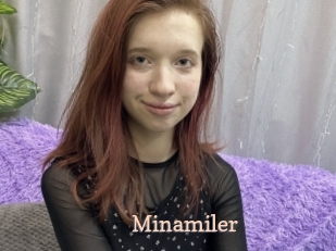 Minamiler