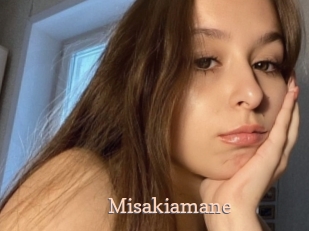Misakiamane