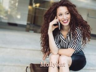Mollykat