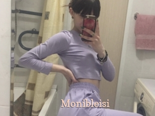 Monibleisi
