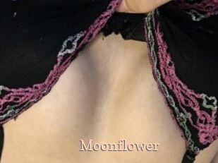 Moonflower