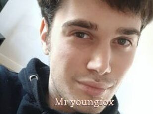 Mr_youngfox