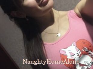 NaughtyHomeAlone