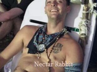 Nectar_Rabbit