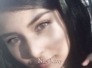 Nicekitty