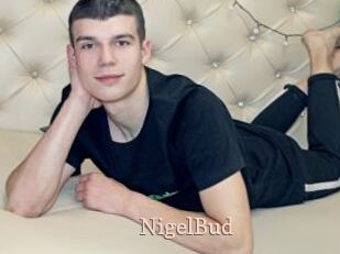NigelBud
