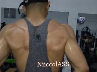 NiiccolASS