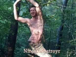 NinjaDickstroyr