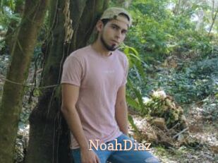NoahDiaz
