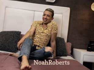 NoahRoberts