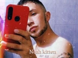 Noah_kitten