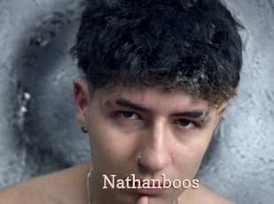 nathanboos Chaude Vision