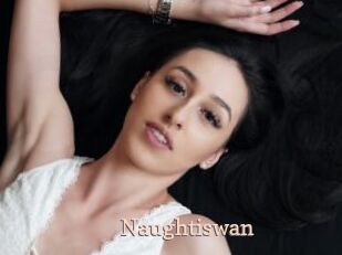 Naughtiswan