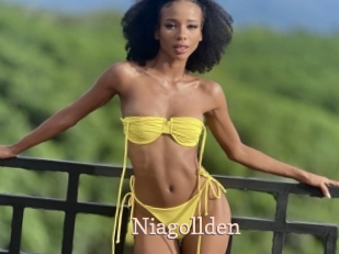 Niagollden