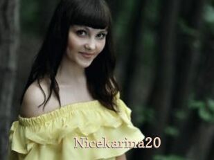 Nicekarina20