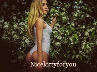Nicekittyforyou