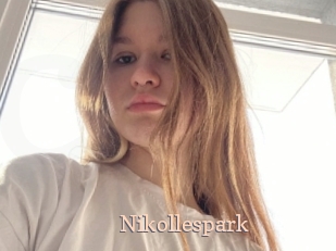 nikollespark Chaude Vision