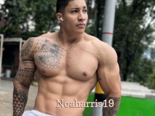 Noaharris19