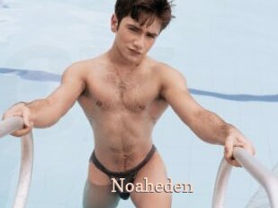 Noaheden