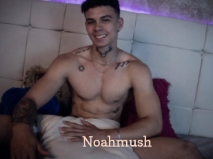 noahmush Chaude Vision