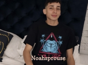 Noahsprouse