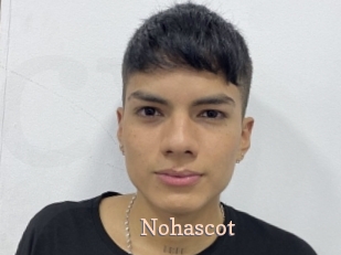 Nohascot