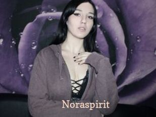 Noraspirit