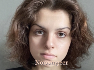 Noreengeer