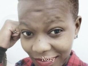 Nozy