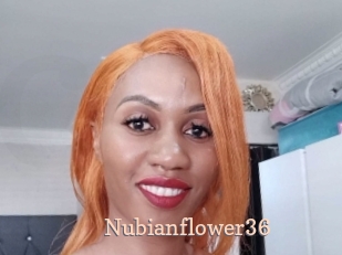 Nubianflower36