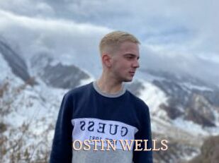 OSTIN_WELLS