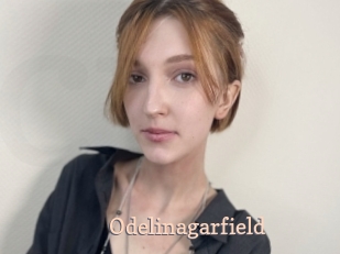 Odelinagarfield