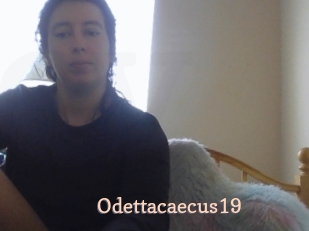 Odettacaecus19