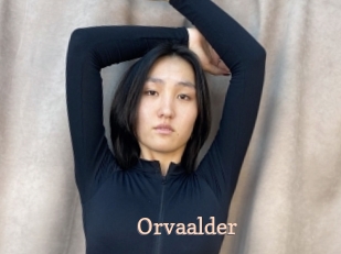 Orvaalder