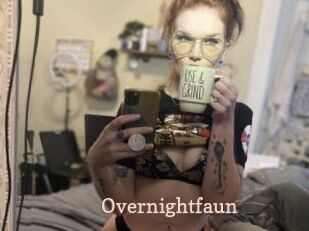 Overnightfaun
