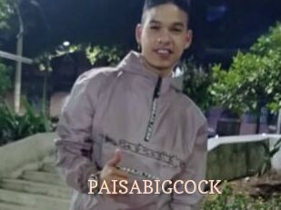 PAISABIGCOCK