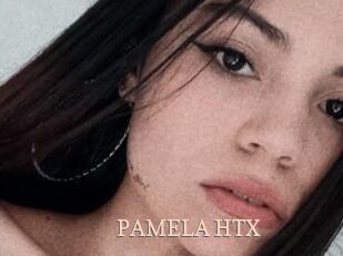 PAMELA_HTX
