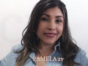 PAMELA_zv