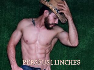 PERSEUS11INCHES