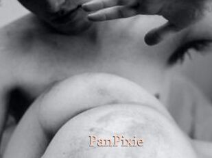 PanPixie
