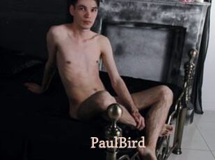 PaulBird