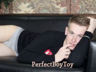 PerfectBoyToy